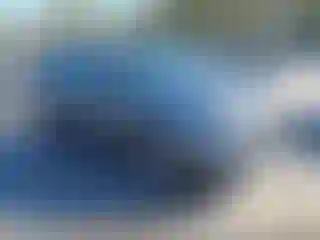 Vehicle Image- 2020 Nissan Rogue