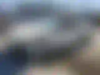 IMPORTOWO.pl