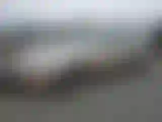 Vehicle Image- 1996 Nissan Maxima