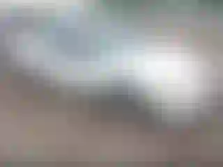 Vehicle Image- 2000 Nissan Maxima