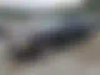Vehicle Image- 2000 Nissan Maxima