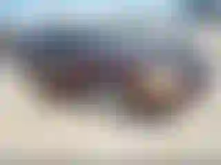 Vehicle Image- 2000 Nissan Maxima