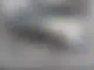 Vehicle Image- 2000 Nissan Maxima