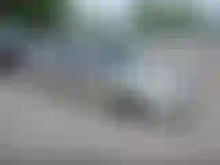 Vehicle Image- 2000 Nissan Maxima