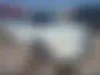Vehicle Image- 2000 Nissan Maxima