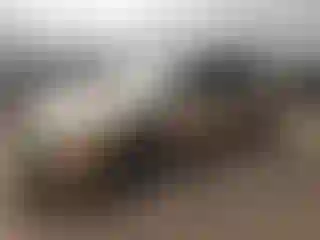 Vehicle Image- 2001 Nissan Maxima