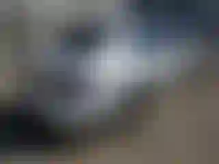 IMPORTOWO.pl
