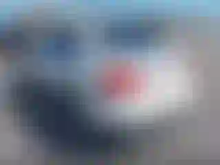 IMPORTOWO.pl