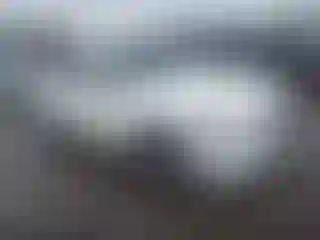 Vehicle Image- 2019 Infiniti Q50