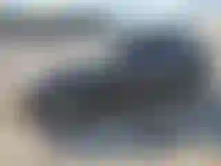 Vehicle Image- 2019 Infiniti Q50