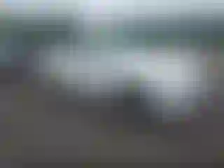 Vehicle Image- 2023 Infiniti Q50