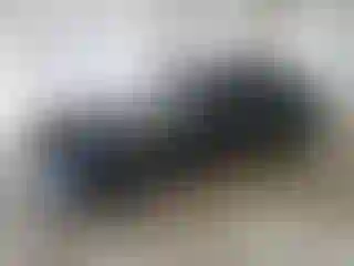 Vehicle Image- 2019 Infiniti Q50