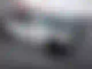 Vehicle Image- 2017 Infiniti Q50