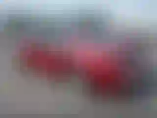 IMPORTOWO.pl