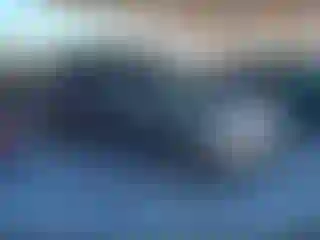 Vehicle Image- 2016 Nissan Quest