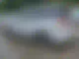 IMPORTOWO.pl