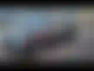 IMPORTOWO.pl