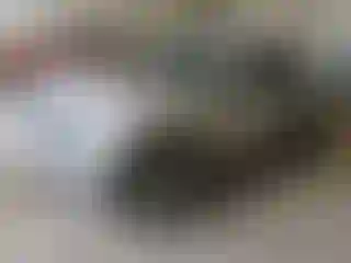 Vehicle Image- 2014 Nissan Juke