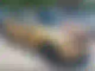 Vehicle Image- 2013 Nissan Juke