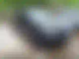 Vehicle Image- 2013 Nissan Juke