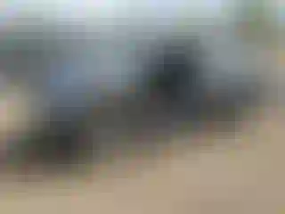Vehicle Image- 2016 Nissan Juke