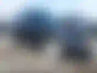 Vehicle Image- 2014 Nissan Juke