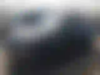 Vehicle Image- 2011 Nissan Juke