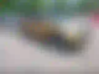 IMPORTOWO.pl