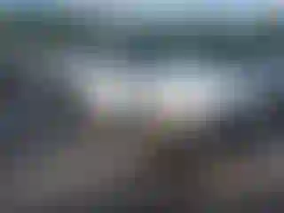 Vehicle Image- 2000 Nissan Pathfinder