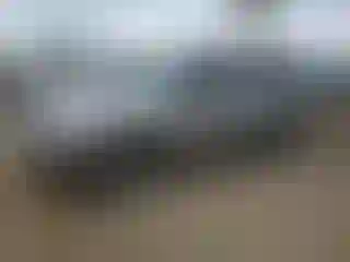 Vehicle Image- 1999 Nissan Pathfinder