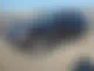 Vehicle Image- 2010 Infiniti FX35