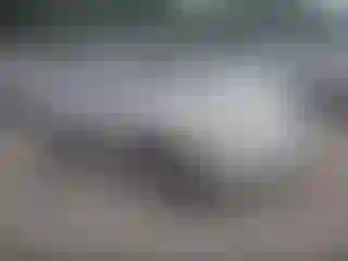Vehicle Image- 2009 Nissan Rogue