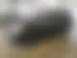 Vehicle Image- 2008 Nissan Rogue