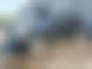 Vehicle Image- 2008 Nissan Rogue