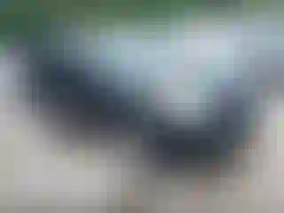Vehicle Image- 2008 Nissan Rogue