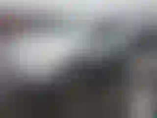 Vehicle Image- 2008 Nissan Rogue