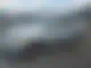 Vehicle Image- 2008 Nissan Rogue