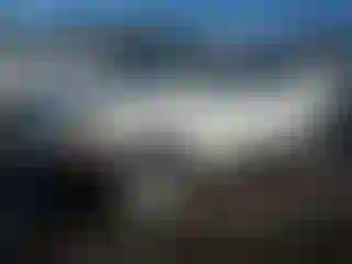 Vehicle Image- 2009 Nissan Rogue
