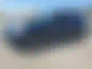 Vehicle Image- 2009 Nissan Rogue