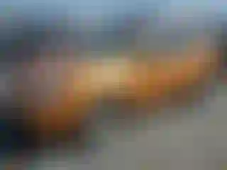 Vehicle Image- 2008 Nissan Rogue