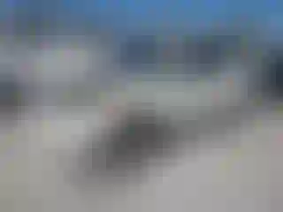 Vehicle Image- 2008 Nissan Rogue