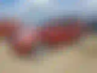Vehicle Image- 2008 Nissan Rogue