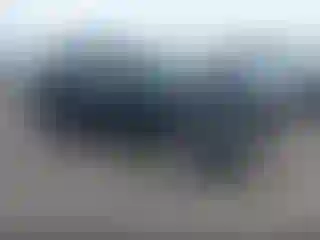 Vehicle Image- 2008 Nissan Rogue