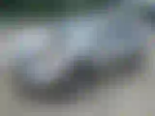 Vehicle Image- 2008 Nissan Rogue