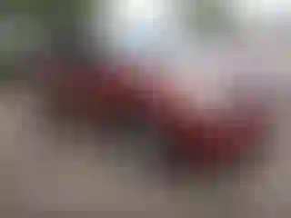 Vehicle Image- 2011 Nissan Rogue