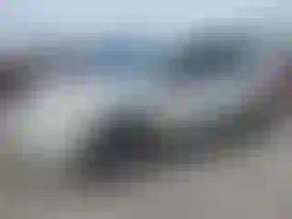 Vehicle Image- 2012 Nissan Rogue