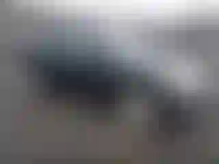 Vehicle Image- 2010 Nissan Rogue