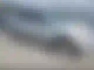 Vehicle Image- 2011 Nissan Rogue