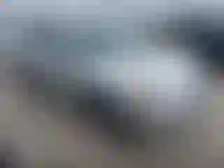 Vehicle Image- 2013 Nissan Rogue