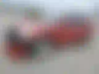 Vehicle Image- 2012 Nissan Rogue